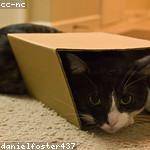 Erica Wyman Profile Picture