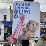 Adrian Schiller Profile Picture