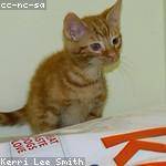 Birdie Welch Profile Picture