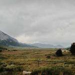 Helmer Herzog Profile Picture