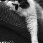 Alana Morar Profile Picture