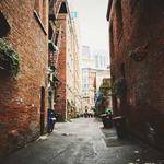 Edwin Runte Profile Picture