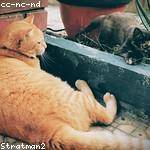 Regan Wiegand Profile Picture