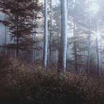 Ciara Heller Profile Picture