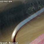 Fernando Hermann Profile Picture