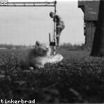 Scot Zemlak Profile Picture