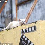 Pauline Prohaska Profile Picture