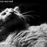 Rudolph Emmerich Profile Picture