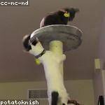 Josiane Greenholt Profile Picture