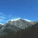 Adelle Swaniawski Profile Picture