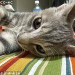 Loraine Bartoletti Profile Picture