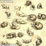 Lamar Mertz Profile Picture