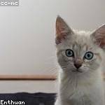 Tyra Jakubowski Profile Picture