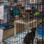 Zachariah Turner Profile Picture