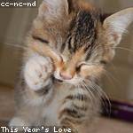 Clementina Okuneva Profile Picture