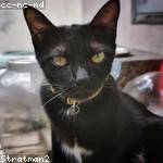 Josefa Cremin Profile Picture