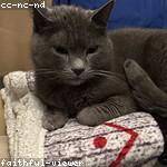 Ava Thompson Profile Picture