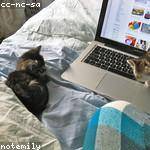 Talon Leffler Profile Picture