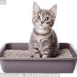 Nadia Rutherford Profile Picture