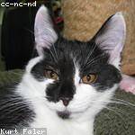 Maria Zulauf Profile Picture