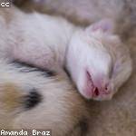 Adrienne Rogahn Profile Picture