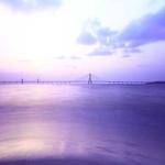 Maxime Senger Profile Picture