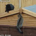 Kassandra Herzog Profile Picture