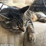 Thaddeus Becker Profile Picture