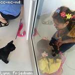 Adolphus Bashirian Profile Picture