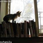 Tevin Lebsack Profile Picture