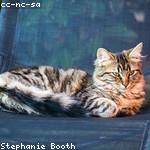 Mortimer Fisher Profile Picture