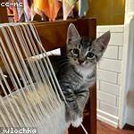 Kade Johnson Profile Picture