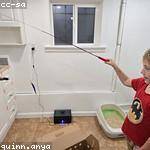 Fredy Toy Profile Picture