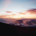 Madelynn Hamill Profile Picture