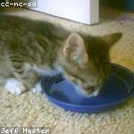 Precious Zulauf Profile Picture