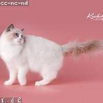 Stacey Eichmann Profile Picture