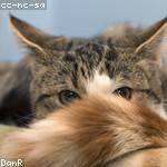 Lorenza Romaguera Profile Picture