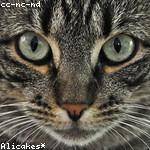 Rosalia Jacobi Profile Picture