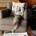 Rodrick Kuhn Profile Picture