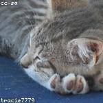 Marlene Turner Profile Picture