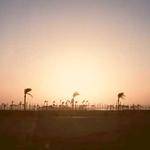 Courtney Tromp Profile Picture