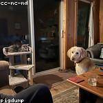 Judd Reynolds Profile Picture