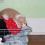 Dortha Crist Profile Picture