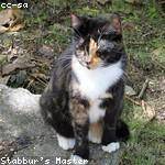 Obie Borer Profile Picture