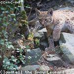 Annamae Stamm Profile Picture