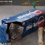 Emilie Feeney Profile Picture