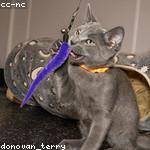 Gretchen Ullrich Profile Picture