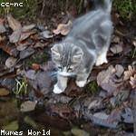 Angeline Langosh Profile Picture