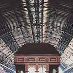 Zoila Witting Profile Picture