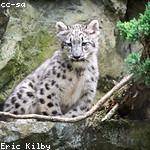 Emma Wehner Profile Picture